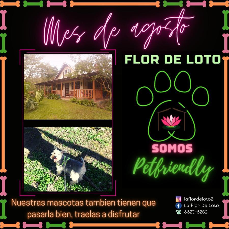 La Flor De Loto Villa การ์ตาโก ภายนอก รูปภาพ